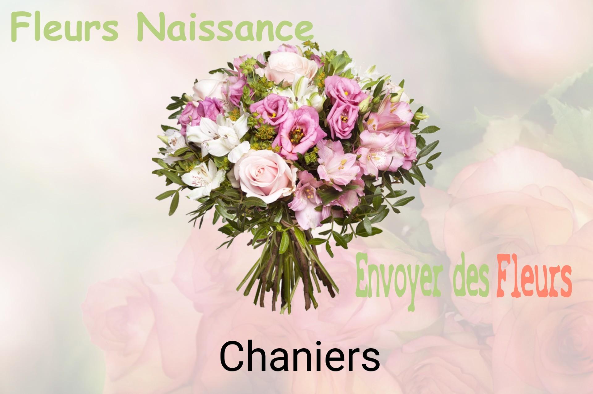 Bouquet de fleurs de naissance livré à Chaniers